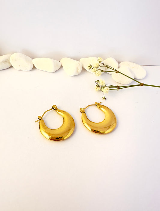 Argollas clasic gold