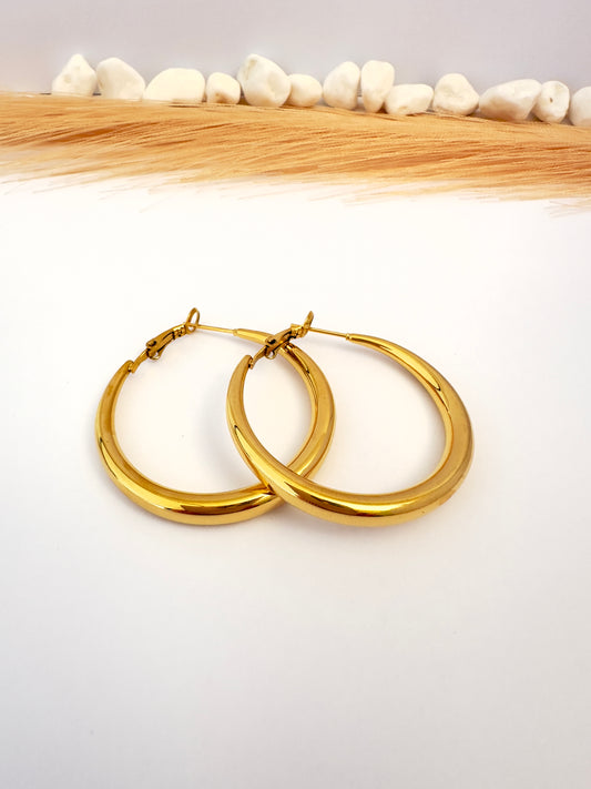 ✨ Aros Argolla grandes - 4 cm
