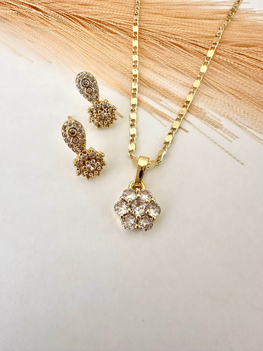 Conjunto de flor punto de luz