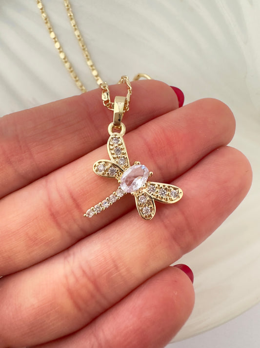 Conjunto Libélula Brillante